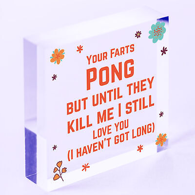 Your Farts Pong Happy Birthday Funny Card Boyfriend Husband Girlfriend Wife Gift
