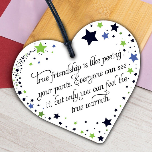 Best Friend Message Gag Gift Hanging Wooden Heart Sign Funny Message