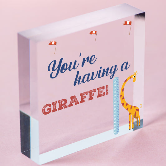 You're Having A Giraffe Plaque Funny Friendship Gifts Birthday Best Friend Signs Free-Standing Block