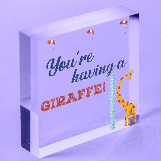 You're Having A Giraffe Plaque Funny Friendship Gifts Birthday Best Friend Signs Free-Standing Block