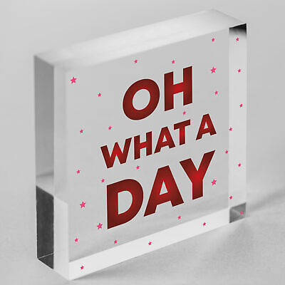 OH WHAT A DAY Funny Hanging Home Decor Bar Home Sign Office Decor Gifts