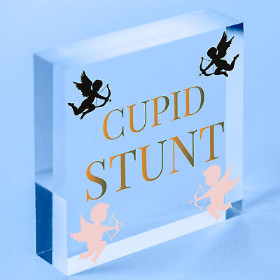 Cupid Stunt Funny Man Cave Home Bar Shed Pub Hanging Plaque Friendship Gift Sign