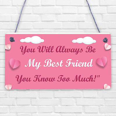 Best Friend You Know Too Much Novelty Wooden Hanging Plaque Friendship Sign Gift