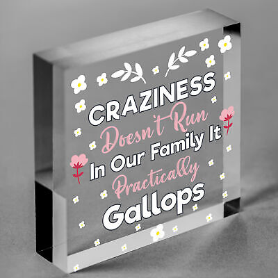 Craziness Gallops In Our Family Wooden Hanging Heart Novelty Families Plaque