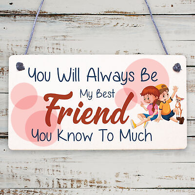 Best Friend You Know Too Much Novelty Wooden Hanging Plaque Friendship Sign Gift