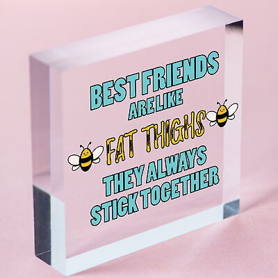 Best Friends Like Fat Thighs Novelty Hanging Plaque Friendship GIft Friend Sign