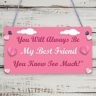 Best Friend You Know Too Much Novelty Wooden Hanging Plaque Friendship Sign Gift