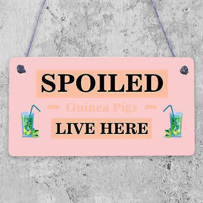 Spoiled Guinea Pigs Live Here Beautiful Handmade Gift Sign For Guinea Pig Owners