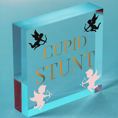 Cupid Stunt Funny Man Cave Home Bar Shed Pub Hanging Plaque Friendship Gift Sign