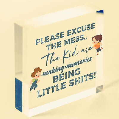 Please Excuse The Mess Novelty Wooden Hanging Plaque Parents Gift Kids Sign