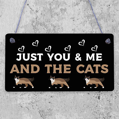 You Me And The Cats Sign Home Funny Crazy Cat Lady Sign Pet Lover Gifts