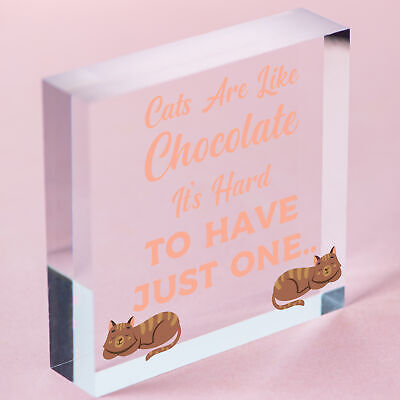 Cats Are Like Chocolate Funny Pet Diet Gift Wood Hanging Plaque Friendship Sign