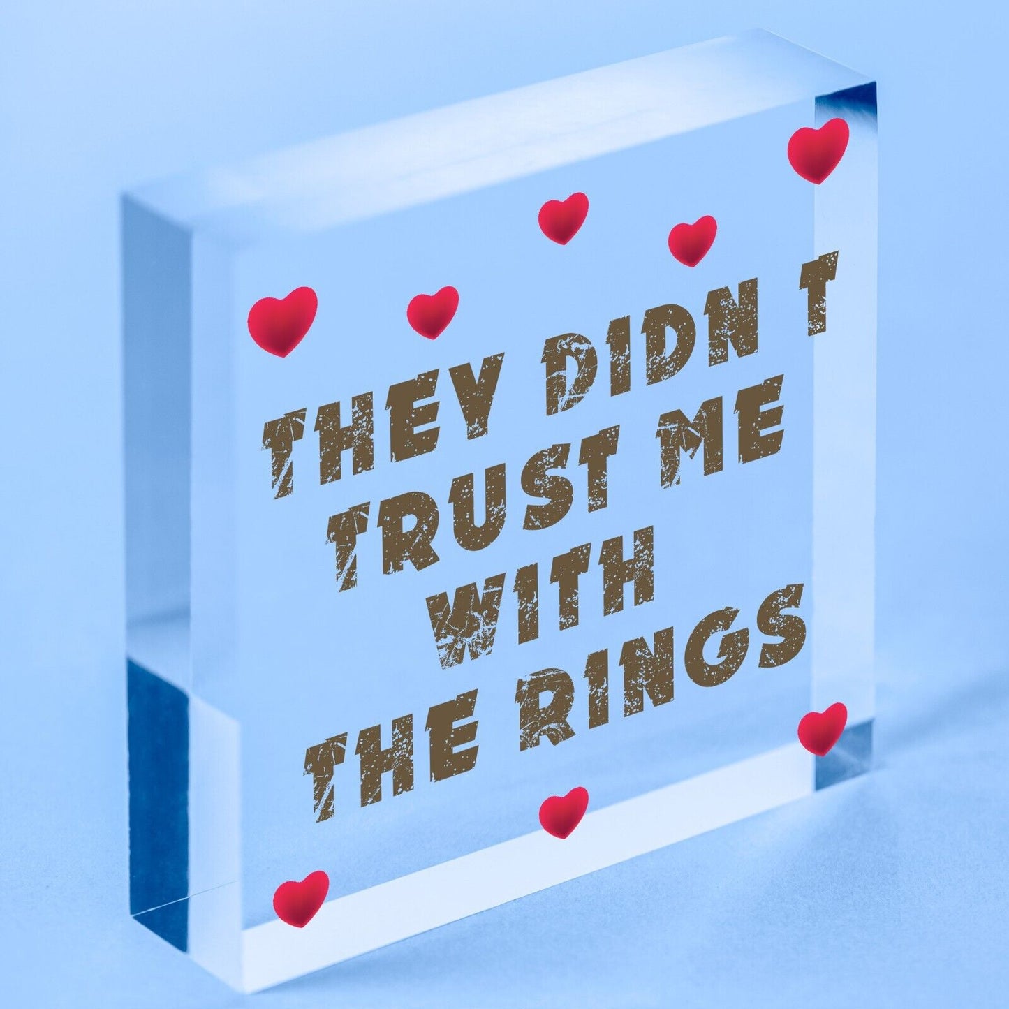 Wedding Decoration Didn't Trust Me Page Boy Reception Decor Mr & Mrs Gift