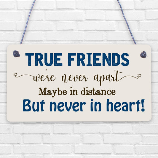 True Friends Never Apart Cute Wooden Hanging Plaque Gift Best Friends Love Sign