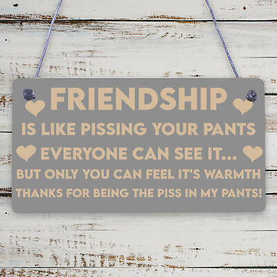 Best Friendship Gift Plaque For Special Friend Gifts For Women Engraved Ornament