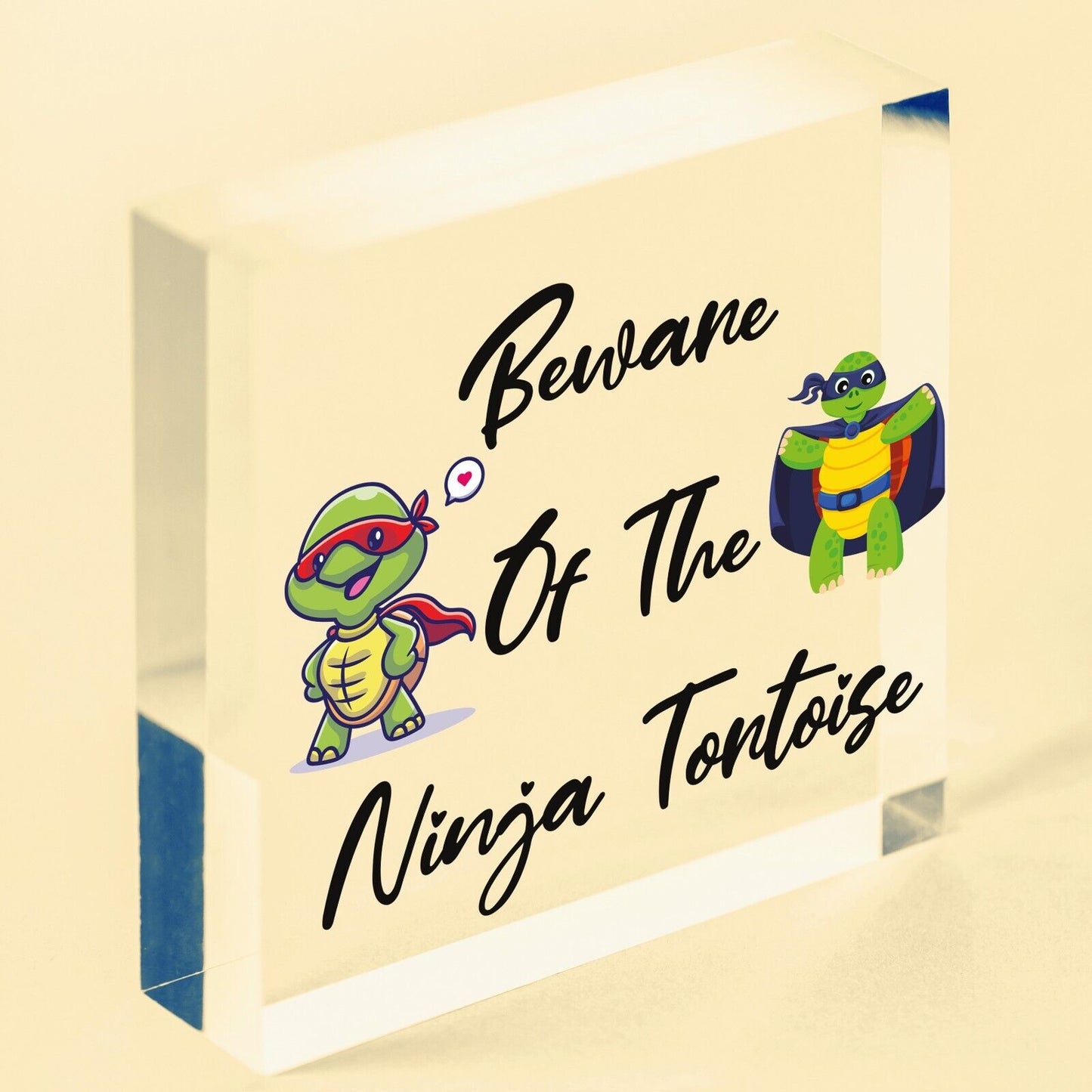 Beware Of The Ninja Tortoise Hanging Plaque Reptile Tank Door Gate Sign Garden