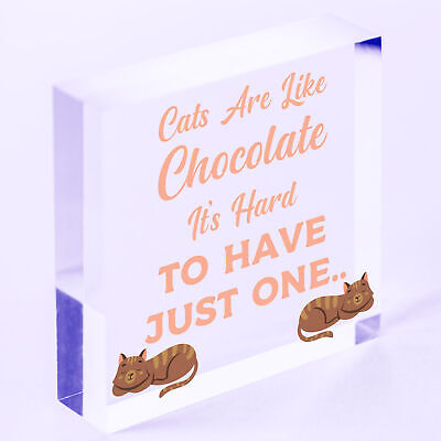 Cats Are Like Chocolate Funny Pet Diet Gift Wood Hanging Plaque Friendship Sign