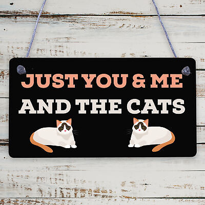 You Me And The Cats Sign Home Funny Crazy Cat Lady Sign Pet Lover Gifts