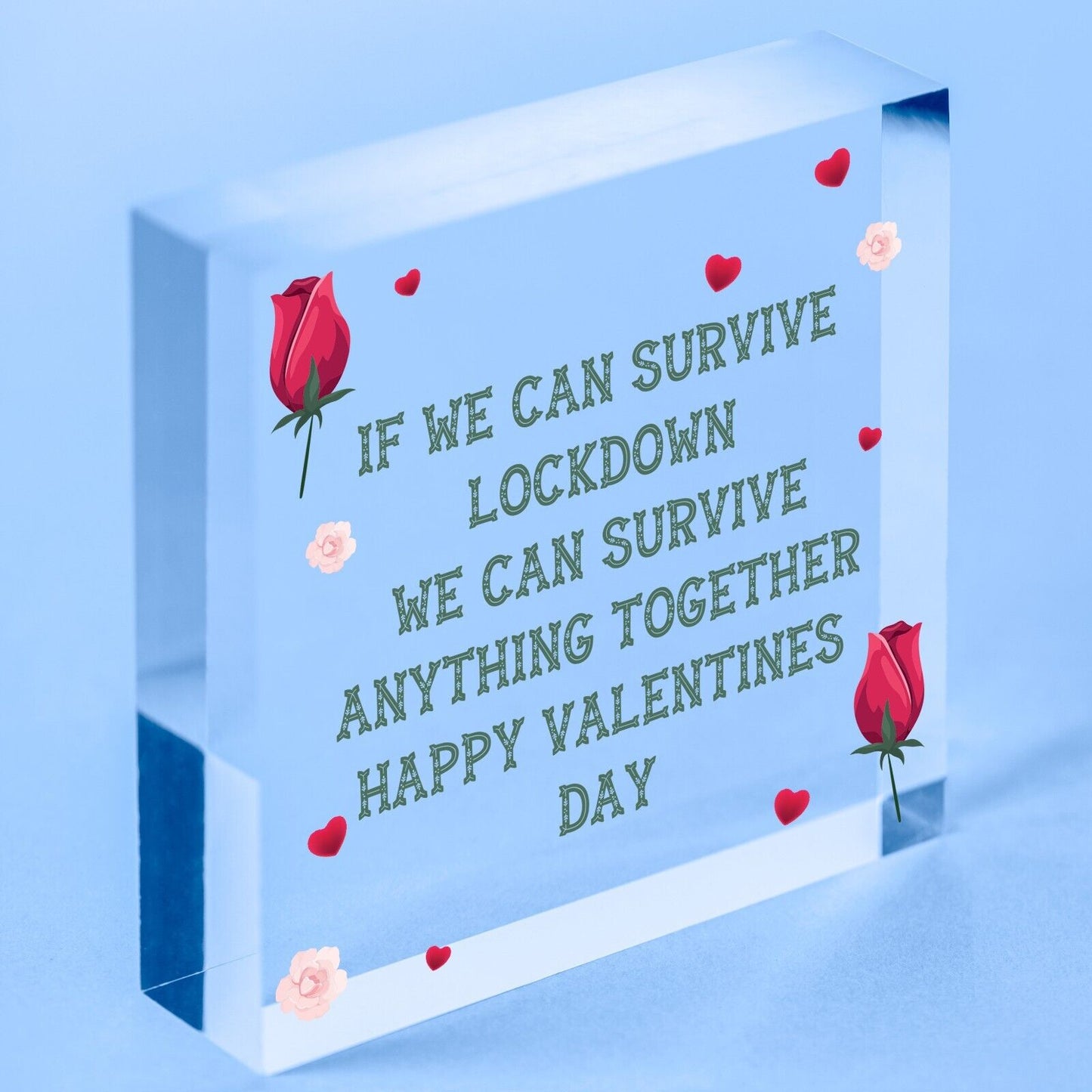 Funny Valentines Day Gift For Boyfriend Girlfriend Novelty Gifts For Him or Her