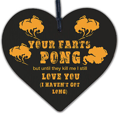 Your Farts Pong Happy Birthday Funny Card Boyfriend Husband Girlfriend Wife Gift