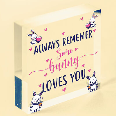 Some Bunny Loves You Novelty Wooden Hanging Heart Plaque Love Anniversary Gift