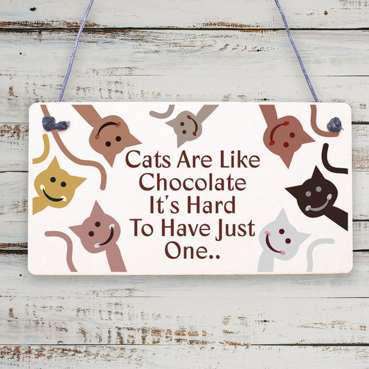 Cats Are Like Chocolate Funny Pet Diet Gift Wood Hanging Plaque Friendship Sign