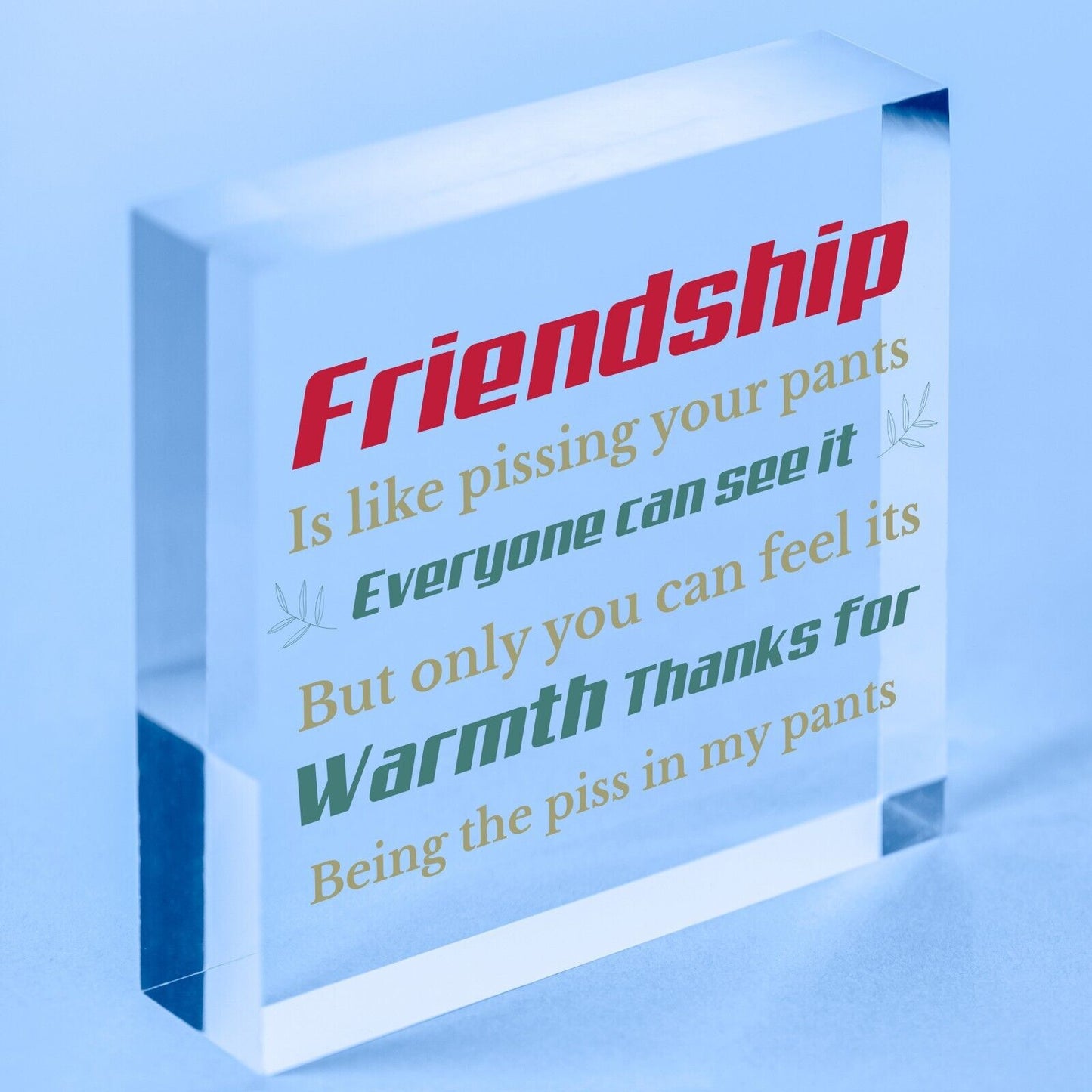 Best Friend Sign Friendship Gift Funny Thank You Novelty Birthday Chic Plaque