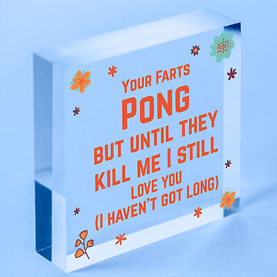 Your Farts Pong Happy Birthday Funny Card Boyfriend Husband Girlfriend Wife Gift