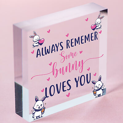 Some Bunny Loves You Novelty Wooden Hanging Heart Plaque Love Anniversary Gift