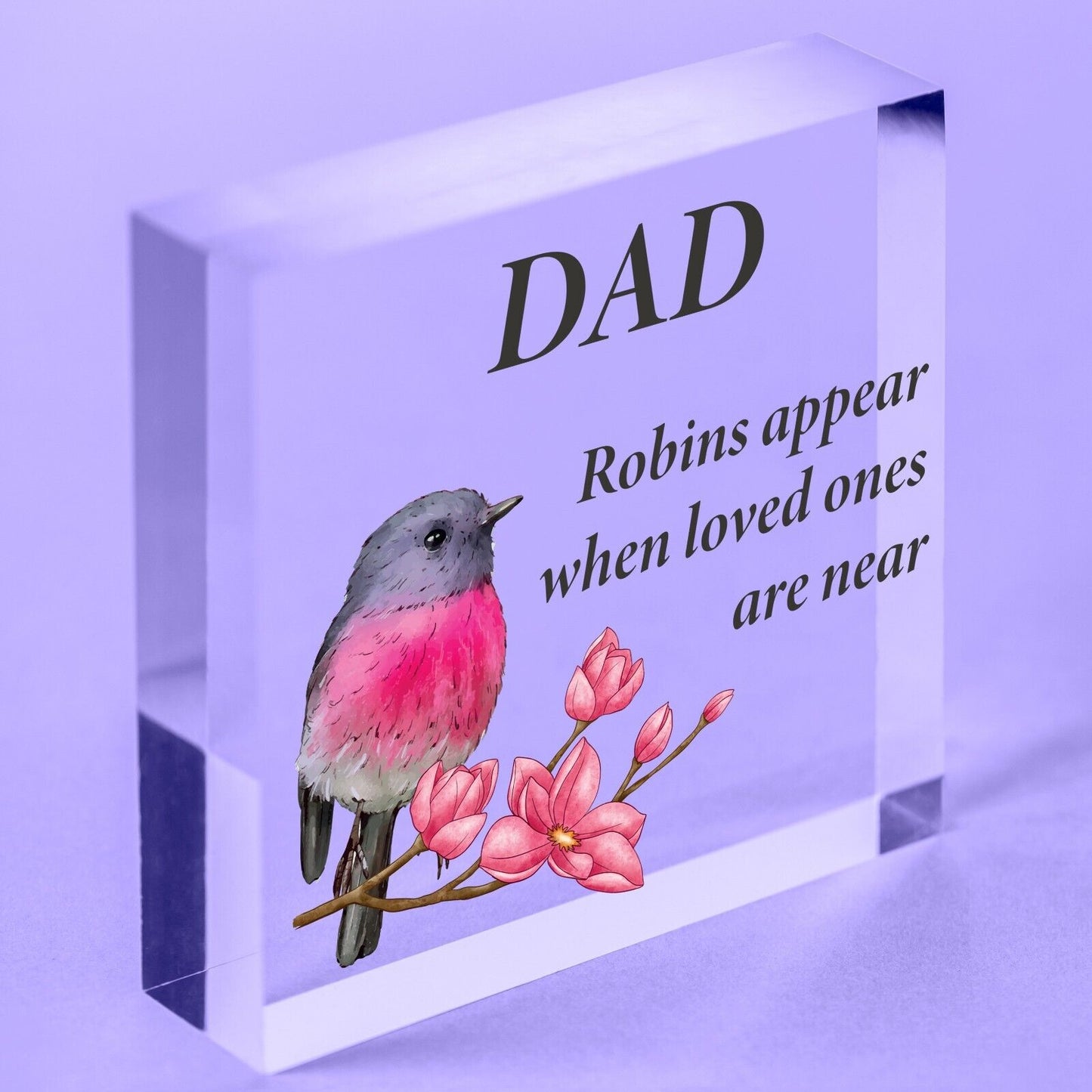 Dad Memorial Personalised Robin Memorial Christmas Dad Grandad Remembrance