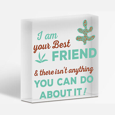 Best Friend Wood Sign FRIENDSHIP GIFT Birthday Christmas Thank You Keepsake