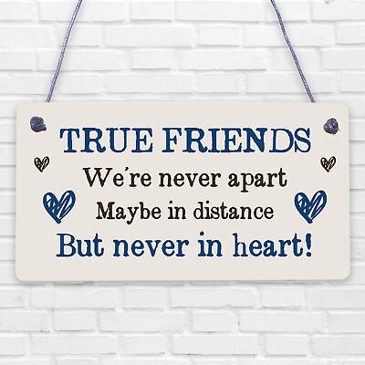 True Friends Never Apart Cute Wooden Hanging Plaque Gift Best Friends Love Sign