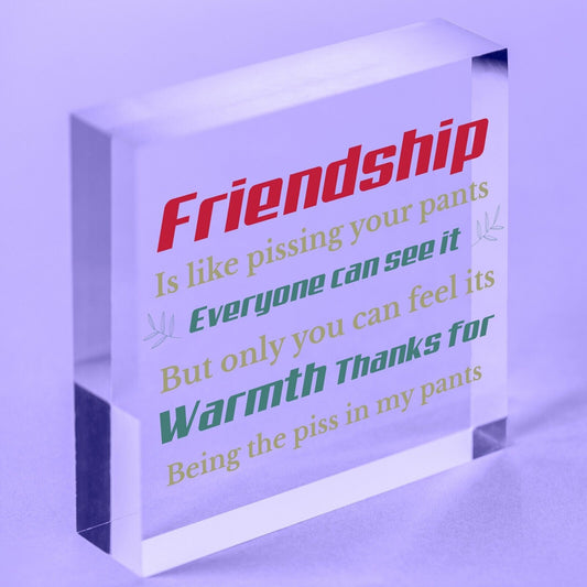 Best Friend Sign Friendship Gift Funny Thank You Novelty Birthday Chic Plaque