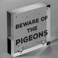 Beware Of The Pigeons Novelty Wooden Hanging Shabby Chic Plaque Bird Sign Gift