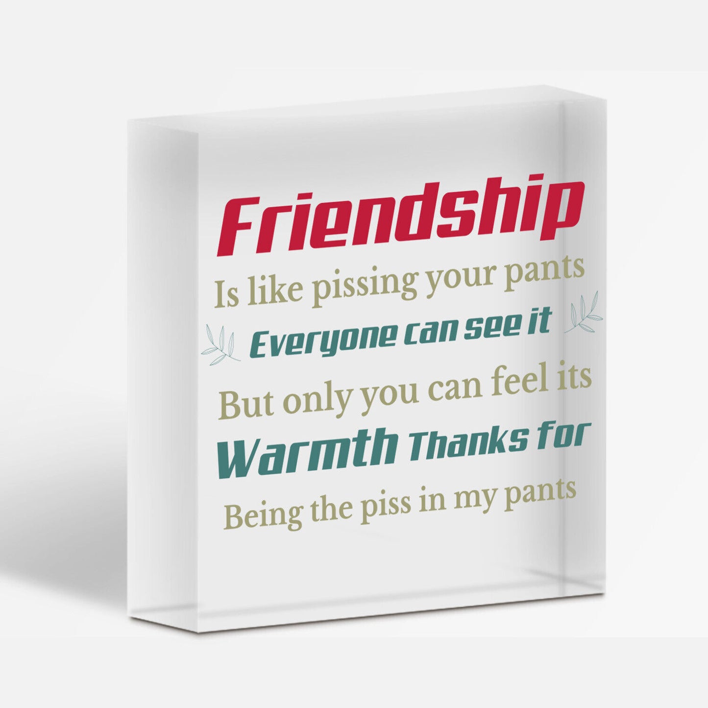 Best Friend Sign Friendship Gift Funny Thank You Novelty Birthday Chic Plaque