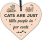 Cats Fur Coats Wood Heart Sign Cute FUNNY GIFT Idea Animal Lover Hanging Plaque