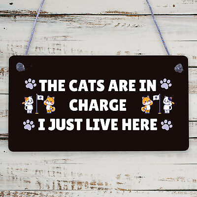 The Cats Are In Charge Hanging Sign Funny Cat Gift Home Decor Gift For Women