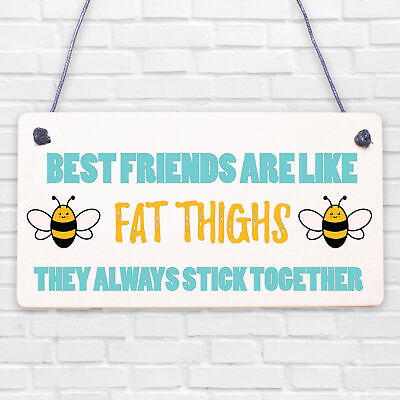 Best Friends Like Fat Thighs Novelty Hanging Plaque Friendship GIft Friend Sign