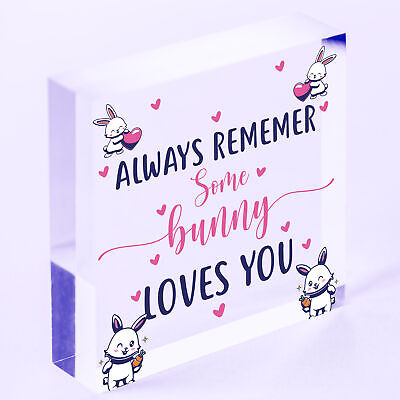 Some Bunny Loves You Novelty Wooden Hanging Heart Plaque Love Anniversary Gift