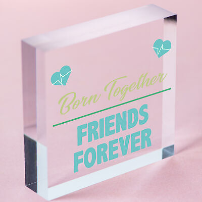 Born Together Friends Forever Twin Keepsake Gift Hanging Plaque Family Sign Baby