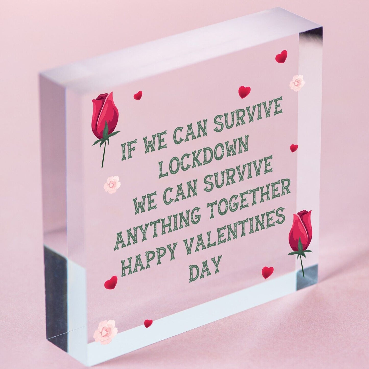 Funny Valentines Day Gift For Boyfriend Girlfriend Novelty Gifts For Him or Her