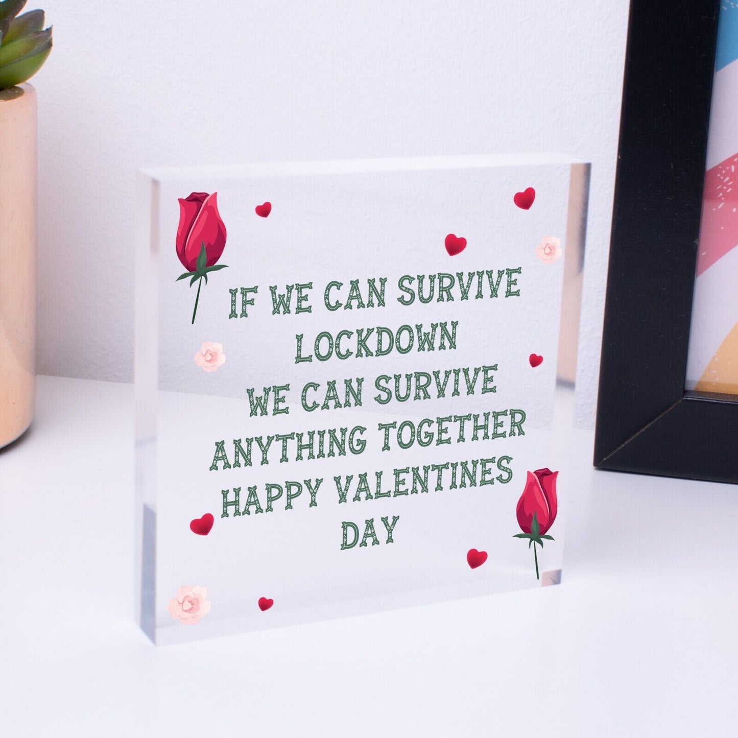 Funny Valentines Day Gift For Boyfriend Girlfriend Novelty Gifts For Him or Her