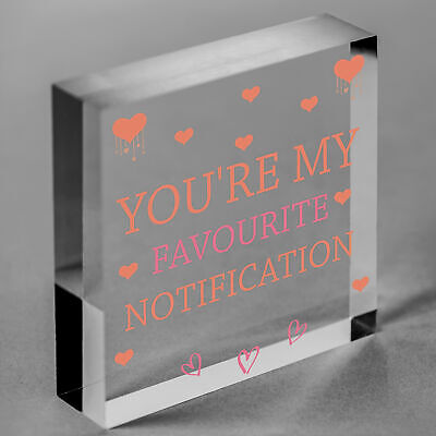 Novelty Valentines Gift For Boyfriend Girlfriend Anniversary Gift Funny Cute