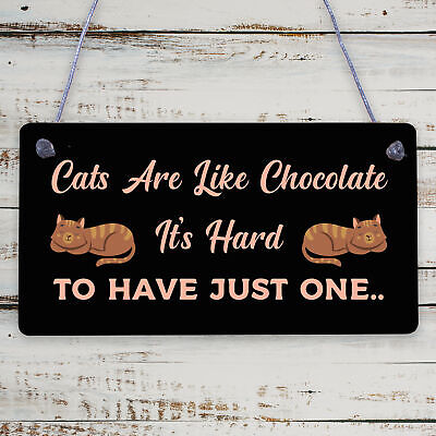 Cats Are Like Chocolate Funny Pet Diet Gift Wood Hanging Plaque Friendship Sign