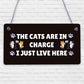 The Cats Are In Charge Hanging Sign Funny Cat Gift Home Decor Gift For Women