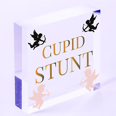 Cupid Stunt Funny Man Cave Home Bar Shed Pub Hanging Plaque Friendship Gift Sign