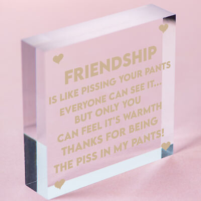 Best Friendship Gift Plaque For Special Friend Gifts For Women Engraved Ornament