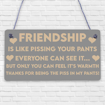 Best Friendship Gift Plaque For Special Friend Gifts For Women Engraved Ornament