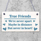 True Friends Never Apart Cute Wooden Hanging Plaque Gift Best Friends Love Sign