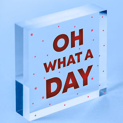 OH WHAT A DAY Funny Hanging Home Decor Bar Home Sign Office Decor Gifts